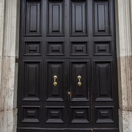 Adelaide Dreams Roma